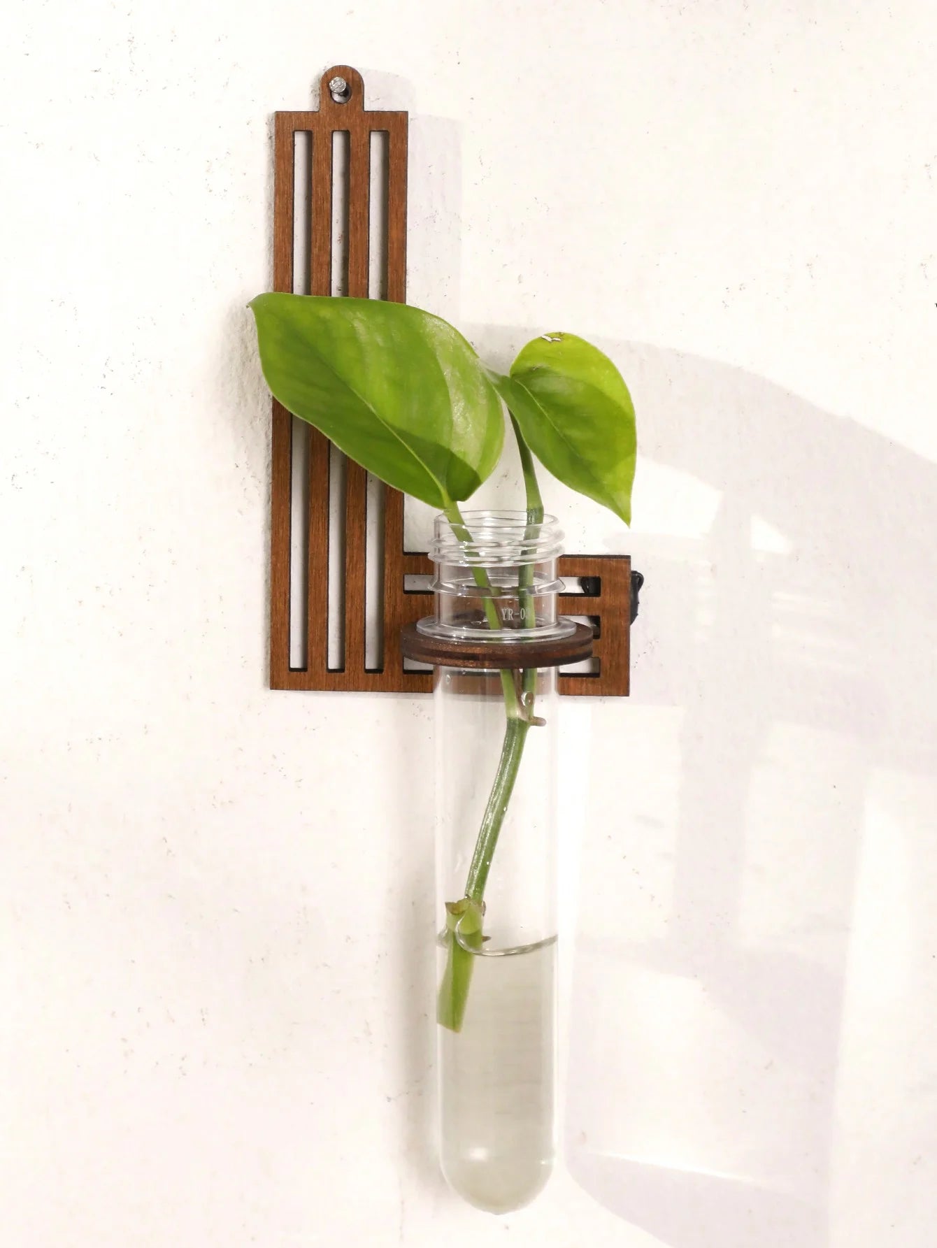 A-Z Alphabet Plant Propagation Stations ，With Wooden Stand，26styles DIY Plant Propagation Tubes， Plant Lover Hydroponics Decor