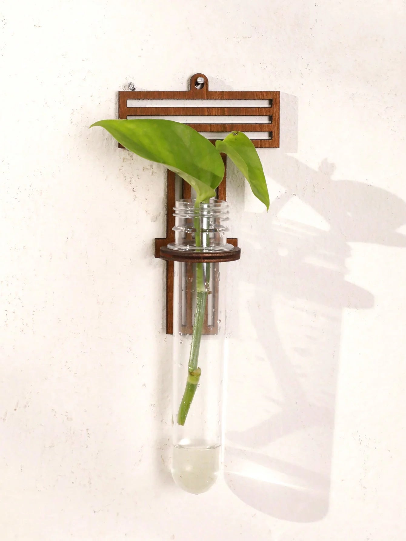 A-Z Alphabet Plant Propagation Stations ，With Wooden Stand，26styles DIY Plant Propagation Tubes， Plant Lover Hydroponics Decor