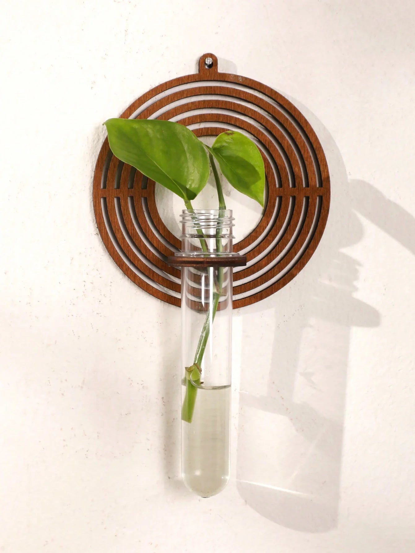 A-Z Alphabet Plant Propagation Stations ，With Wooden Stand，26styles DIY Plant Propagation Tubes， Plant Lover Hydroponics Decor