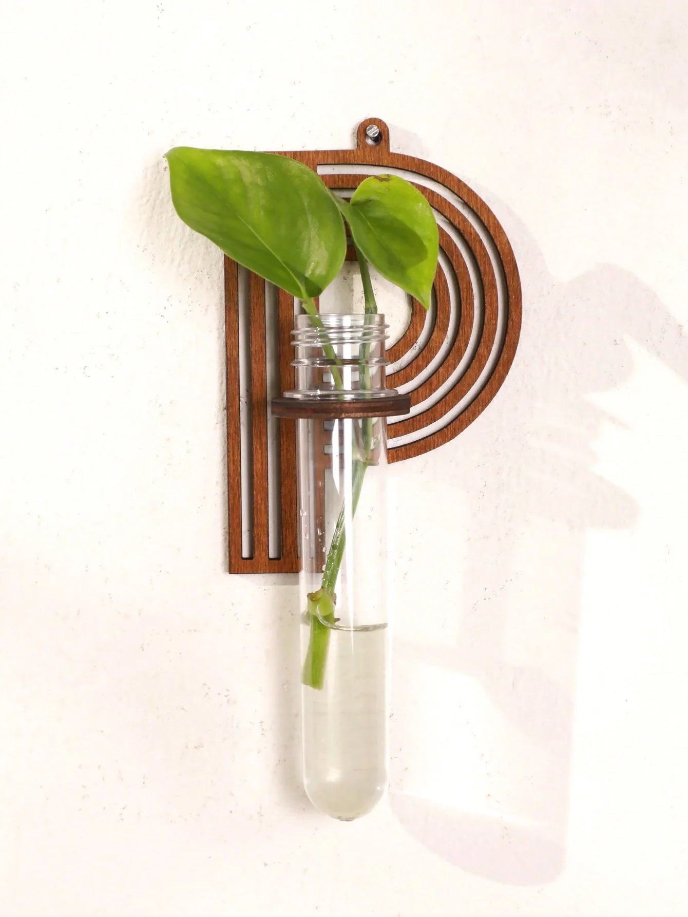 A-Z Alphabet Plant Propagation Stations ，With Wooden Stand，26styles DIY Plant Propagation Tubes， Plant Lover Hydroponics Decor