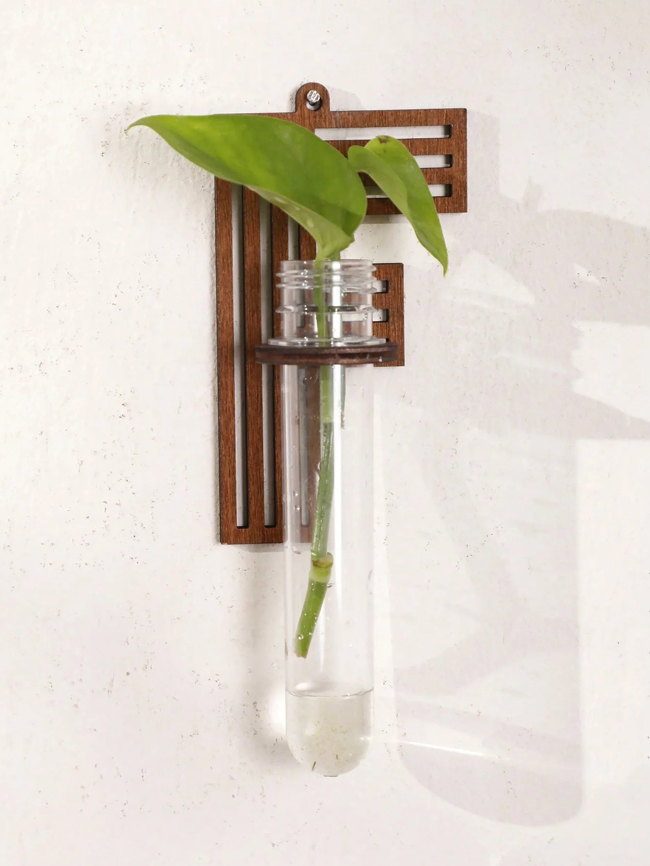 A-Z Alphabet Plant Propagation Stations ，With Wooden Stand，26styles DIY Plant Propagation Tubes， Plant Lover Hydroponics Decor