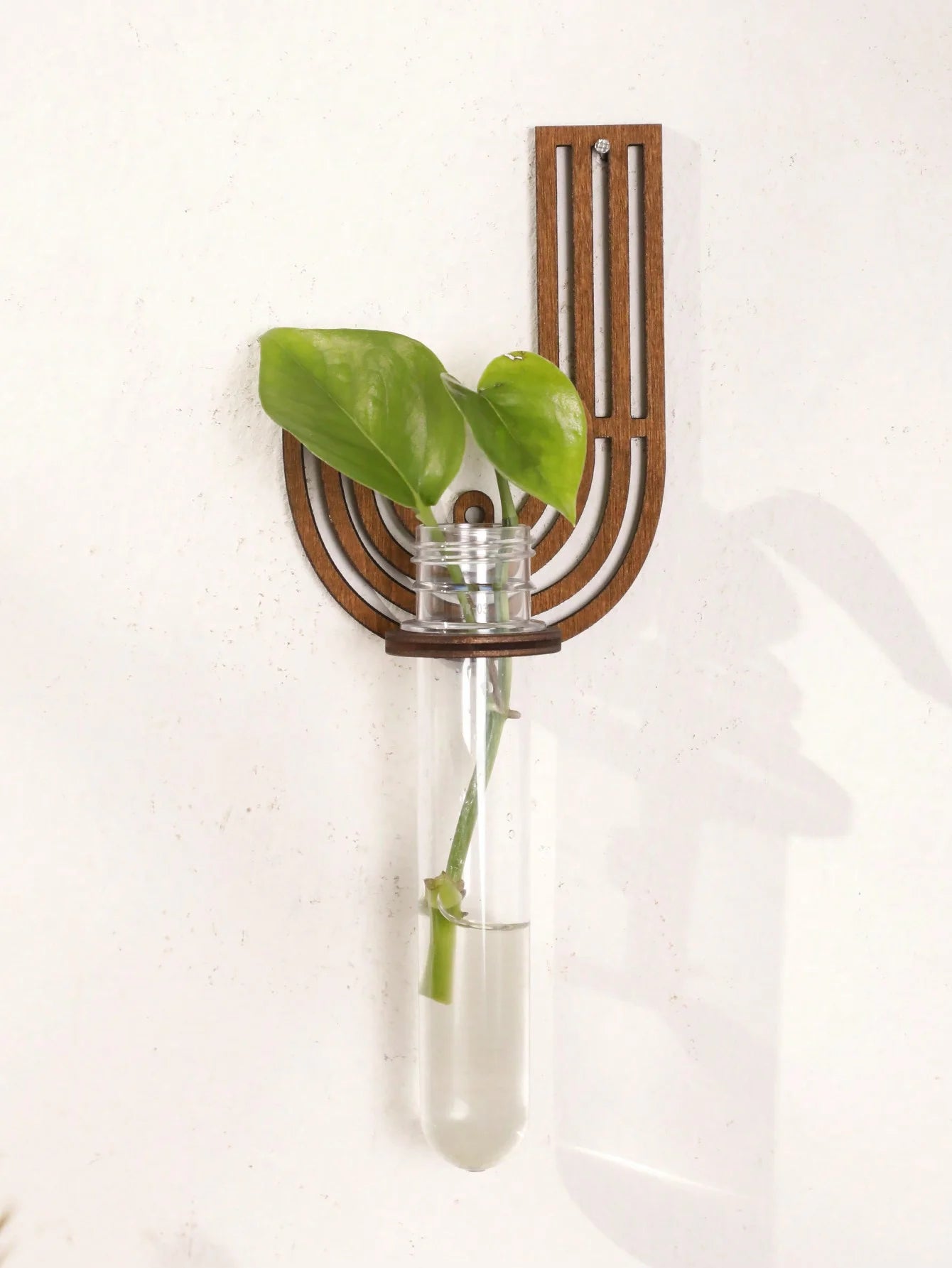 A-Z Alphabet Plant Propagation Stations ，With Wooden Stand，26styles DIY Plant Propagation Tubes， Plant Lover Hydroponics Decor